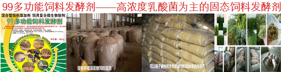 99多功能飼料發(fā)酵劑——高濃度乳酸菌為主的固態(tài)飼料發(fā)酵劑