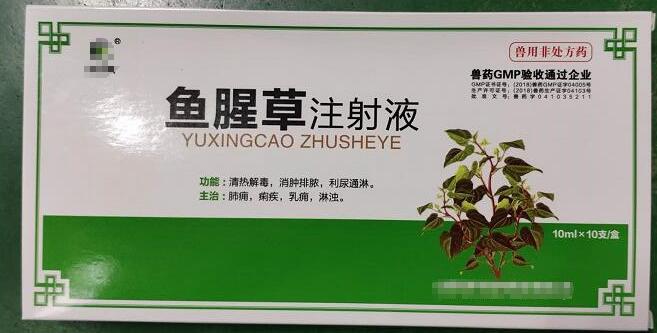 魚腥草注射液，清熱解毒，消腫排膿，利尿通淋，主治:肺癰，痢疾，乳癰，淋濁。