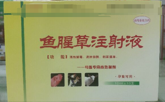 魚腥草注射液，清熱解毒，消腫排濃，利尿通琳，乳房脹痛，排尿不暢等