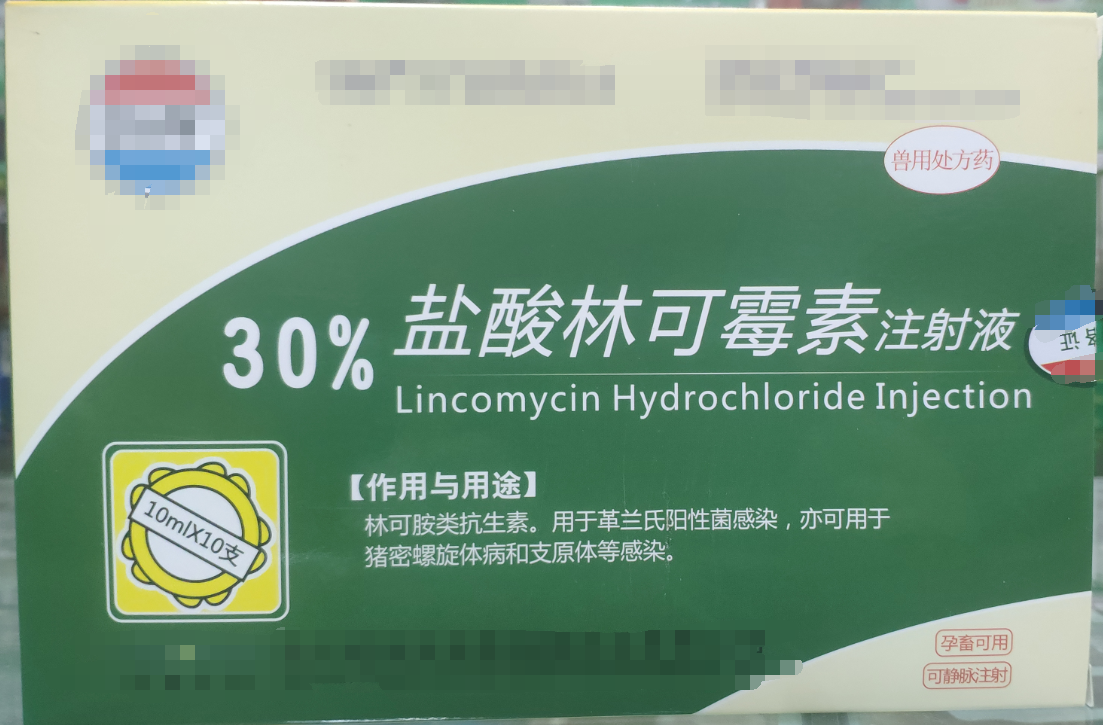 30%林可霉素注射液，用于革蘭氏陽性菌感染，亦用于母蓄的產后消炎，亦可用于豬密螺旋體和支原體感染