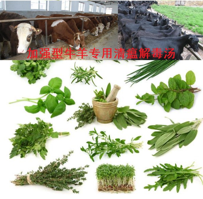 加強(qiáng)型牛羊?qū)Ｓ们逦两舛緶?6味原生中草藥公開組方，牛羊養(yǎng)殖場(chǎng)常備無(wú)憂