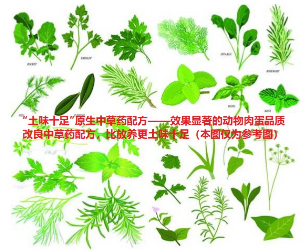 “土味十足”原生中草藥配方——效果顯著的動(dòng)物肉蛋品質(zhì)改良中草藥配方，比放養(yǎng)更土味十足