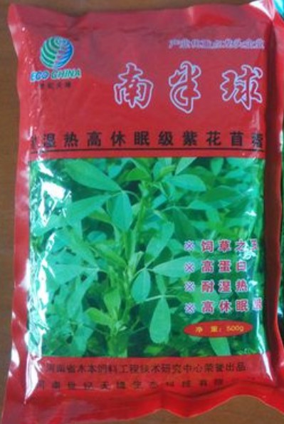 南半球紫花苜蓿,富含粗蛋白、維生素和礦物質(zhì)及動(dòng)物必需的氨基酸優(yōu)質(zhì)牧草