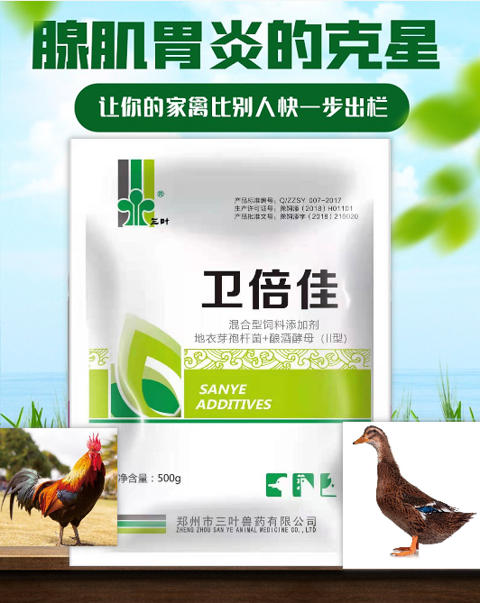 【新產(chǎn)品】腺肌胃炎的克星，讓你的家禽比別人更快一步出欄！