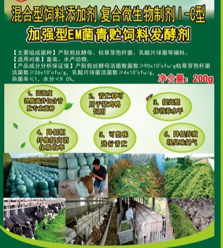 加強(qiáng)型EM菌青貯飼料專用發(fā)酵劑，真正的專業(yè)菌種更好的青貯飼料發(fā)酵劑，發(fā)酵成功率高速度快，香醇可口，牛羊喜吃，連豬雞都搶吃