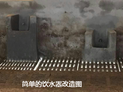 豬場(chǎng)飲水器改造圖.png