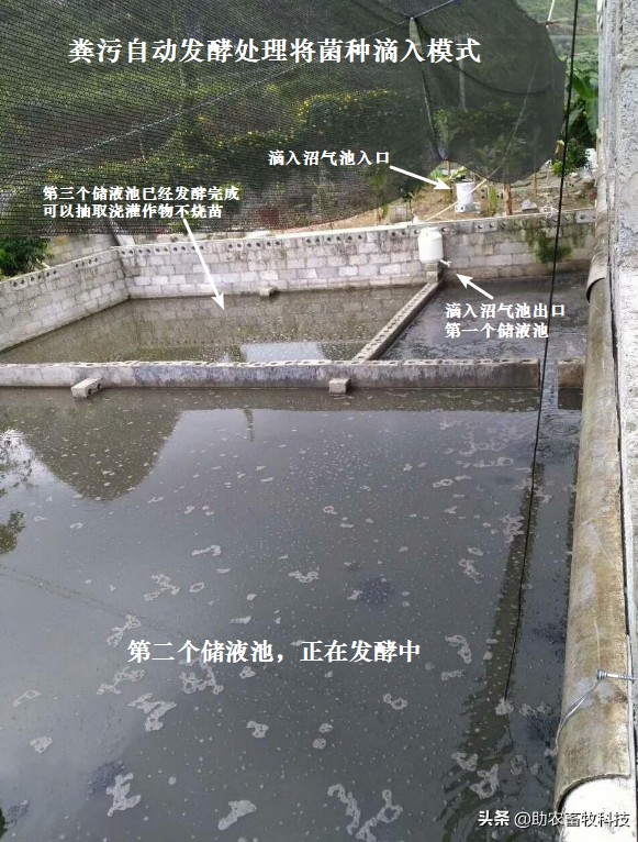 糞污自動發(fā)酵處理將菌種滴入模式.jpg