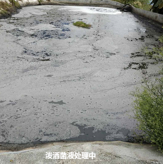 畜禽流體糞污快速發(fā)酵劑處理污水邊液態(tài)有機(jī)肥現(xiàn)場圖.png