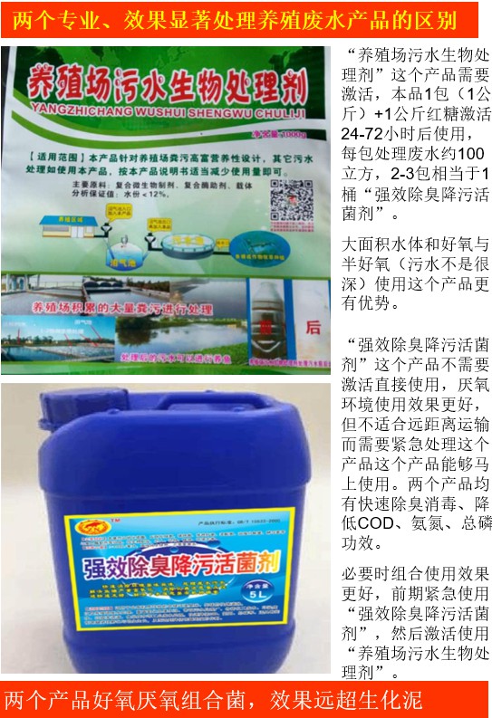 養(yǎng)殖場(chǎng)污水生物處理劑與強(qiáng)效除臭降污活菌劑對(duì)比.jpg