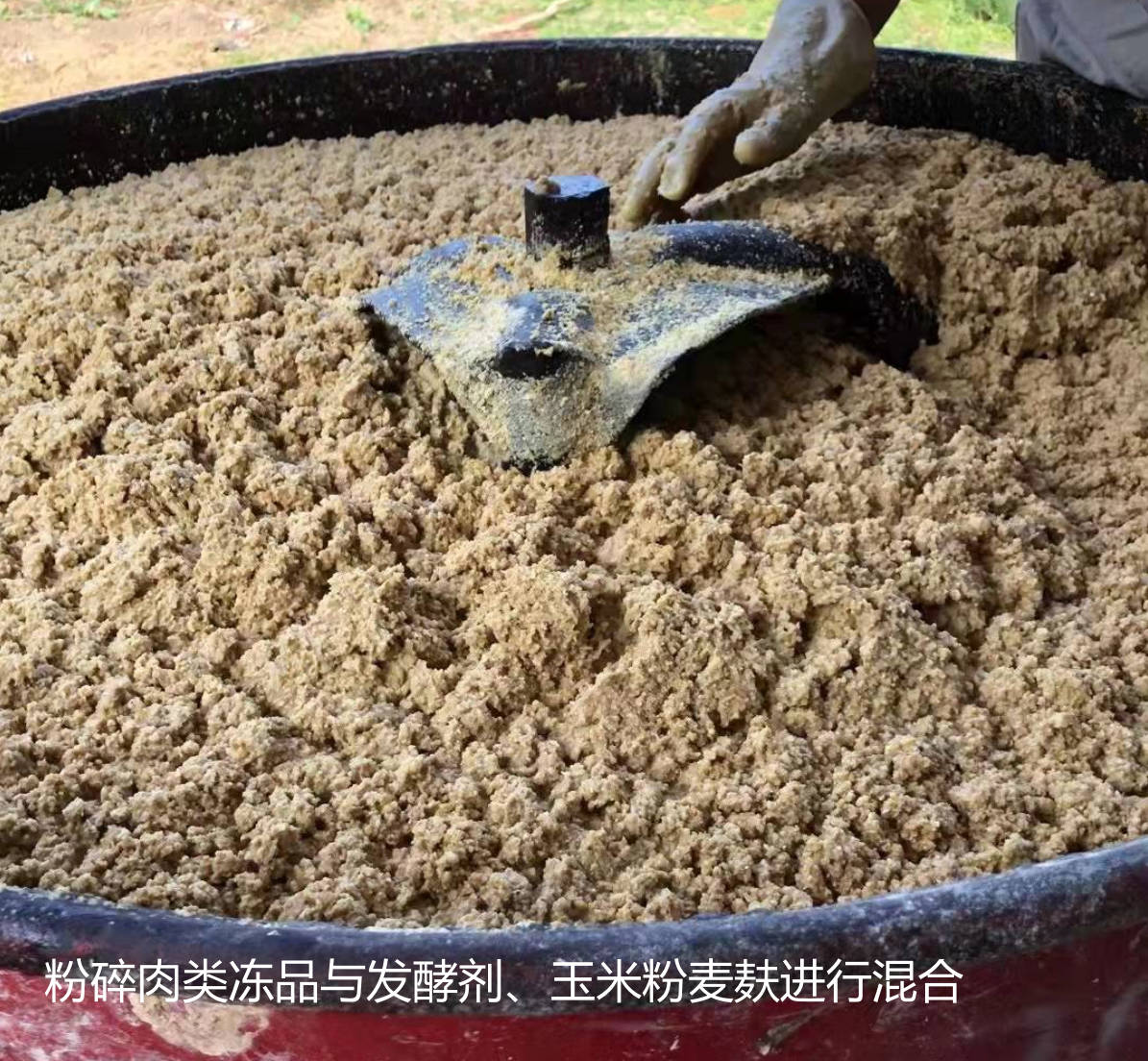粉碎肉類凍品與發酵劑、玉米粉麥麩進行混合.jpg