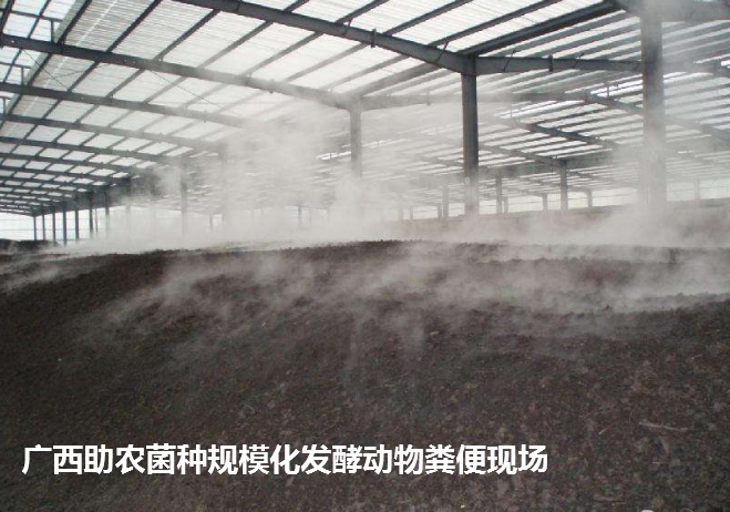 高熱腐熟菌（案例發(fā)酵現(xiàn)場）.png
