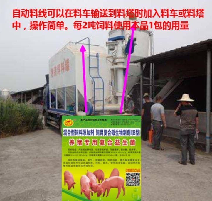 養(yǎng)豬專用復(fù)合益生菌2.jpg