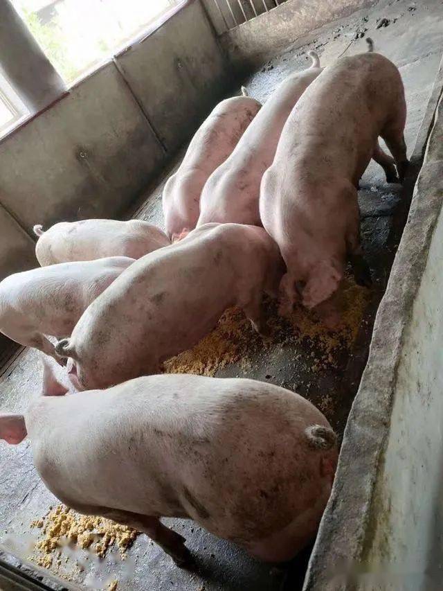 微信圖片_20250610154339.jpg