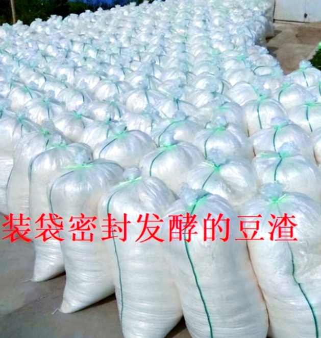 微信截圖_20250610154313.jpg