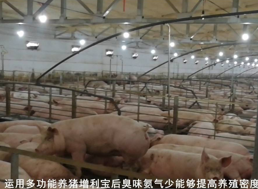 截圖20250611094833.png