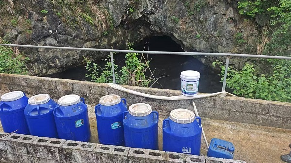 菌液發酵2.jpg