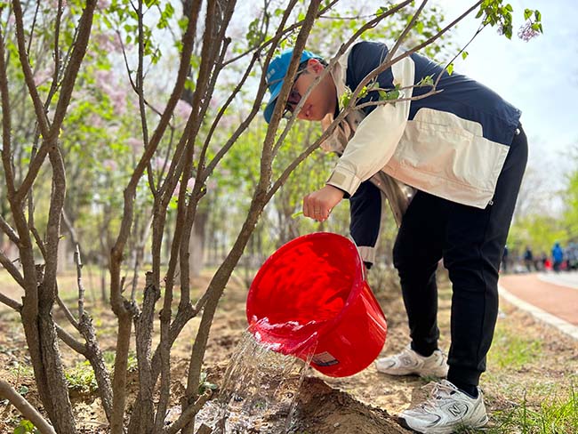 植樹程序已啟動：開發一部正在輸出綠色...